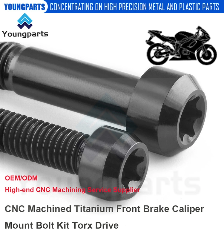 Upgrade Your Motorcycle′s Braking System with a Titanium Front Brake Caliper Mount Bolt Kit Torx Drive