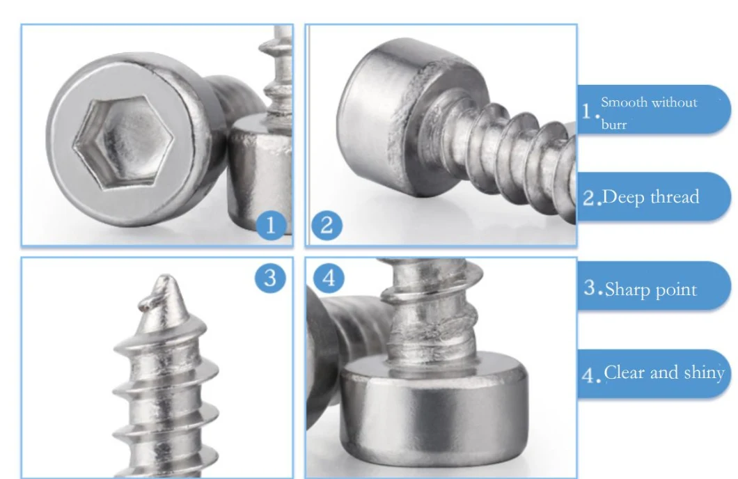 Stainless Steel Screw Special Screw Non-Standard Screw Hex Socket Cap Screw Self Tapping Screw Fastener