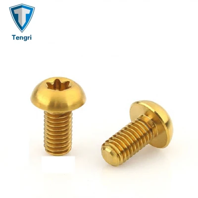 Gold Titan Ti M5 x 10 mm Mountainbike-Scheibenrotor-Torx-Schraube